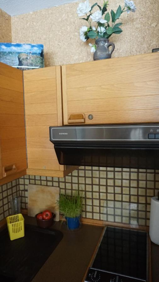 Ferienwohnung Witte ザンクト・アンドレーアスベルク エクステリア 写真